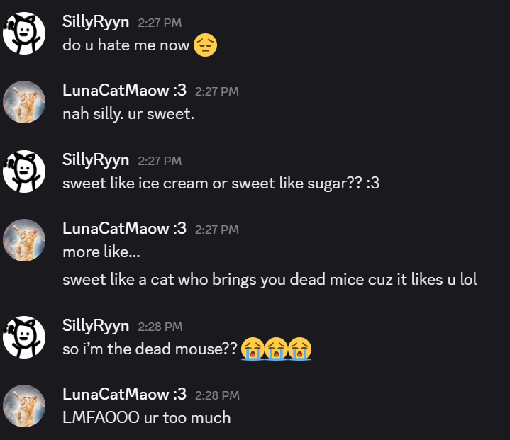 Discord screenshot 4